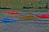 Copy of BOAT RACE.jpg (339190 bytes)